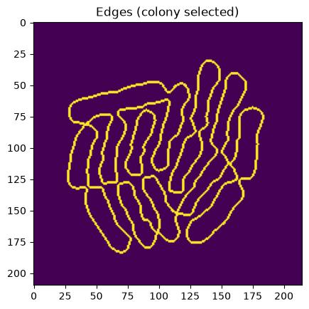 <Figure size 640x480 with 1 Axes>