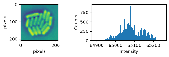 <Figure size 590.551x196.85 with 2 Axes>
