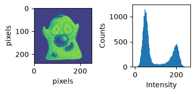 <Figure size 393.701x196.85 with 2 Axes>