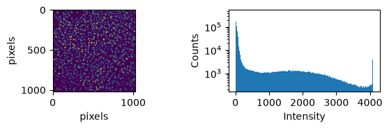 <Figure size 590.551x196.85 with 2 Axes>