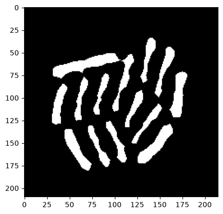 <Figure size 640x480 with 1 Axes>