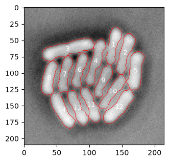 <Figure size 354.331x354.331 with 1 Axes>