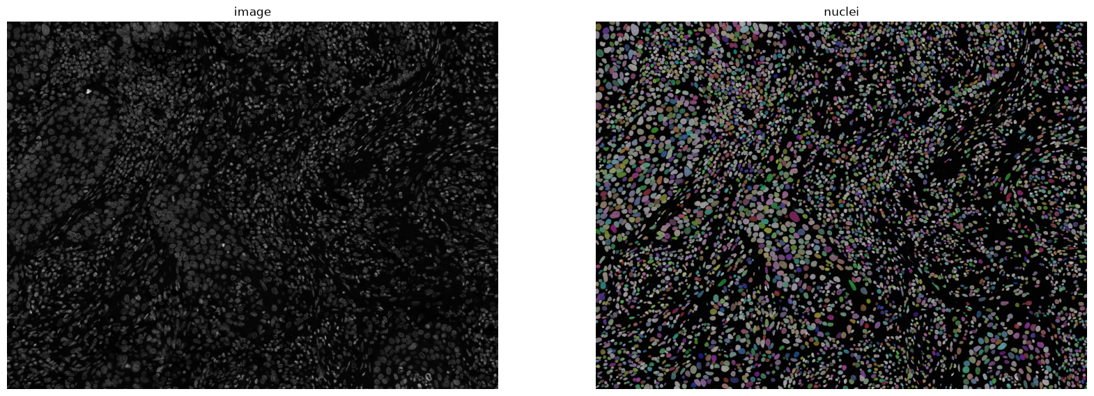 <Figure size 2000x1000 with 2 Axes>