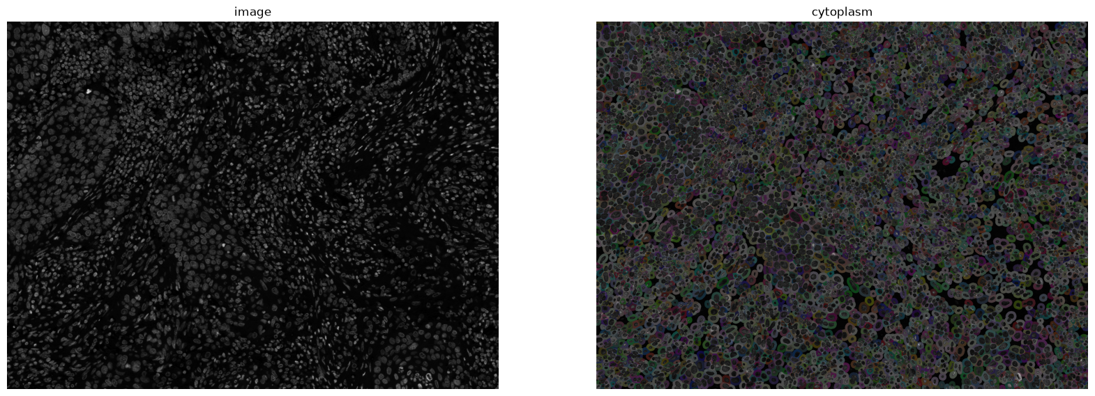 <Figure size 2000x1000 with 2 Axes>