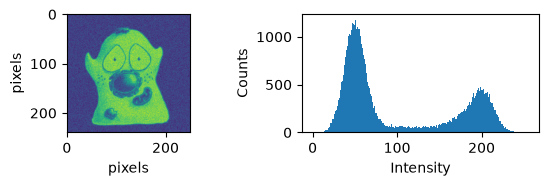 <Figure size 590.551x196.85 with 2 Axes>
