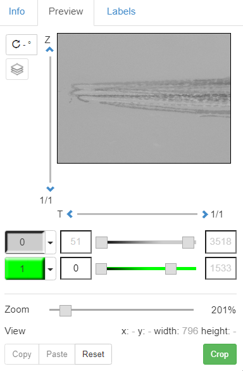Alt text