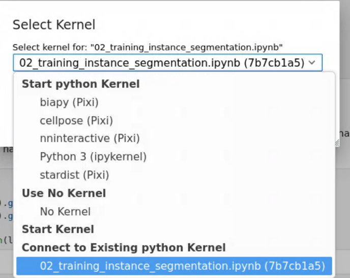 Selecting the kernel in JupyterLab