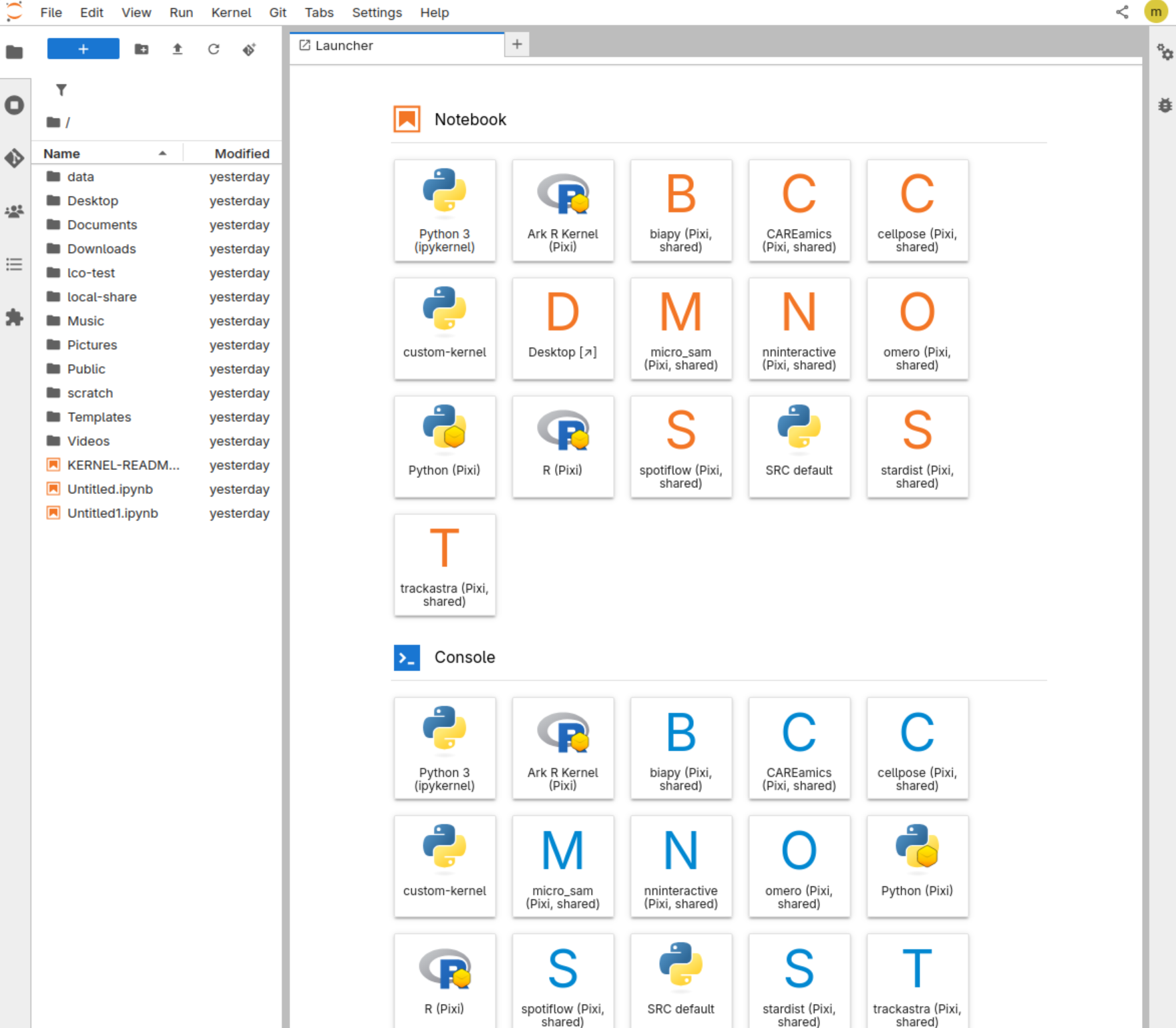 JupyterLab Launcher with the preinstalled environments