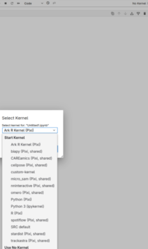 Selecting a kernel for a notebook